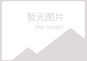 永和县盼夏采矿有限公司